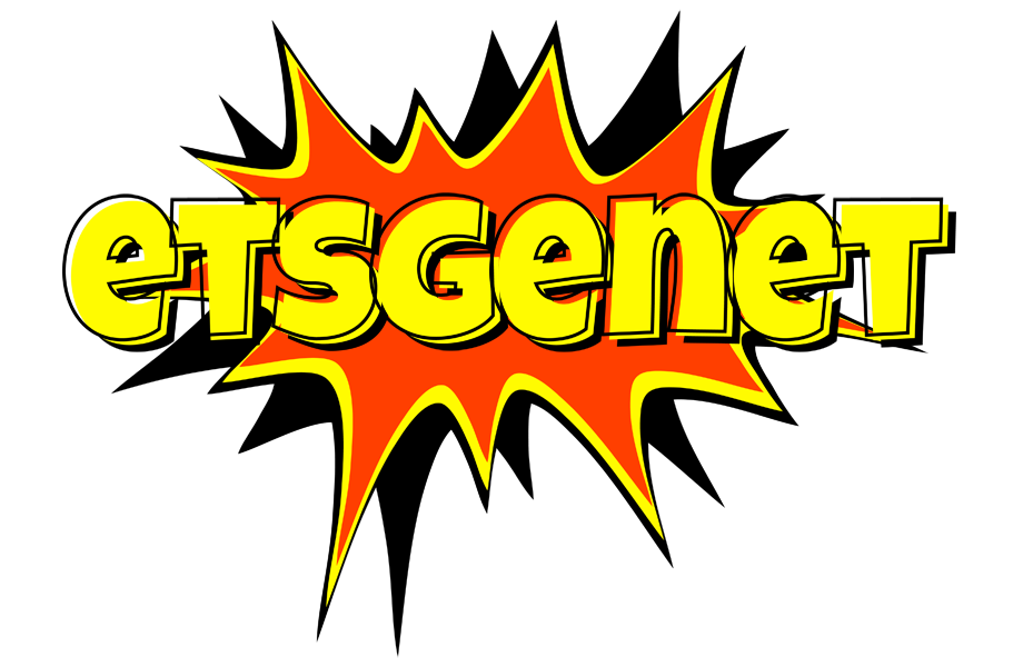 Etsgenet bazinga logo