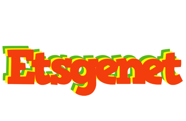 Etsgenet bbq logo