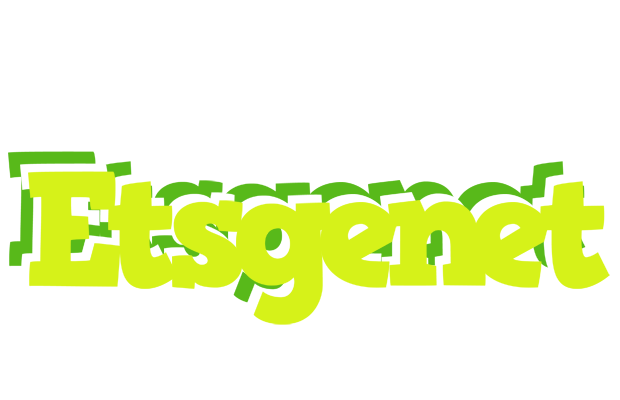 Etsgenet citrus logo