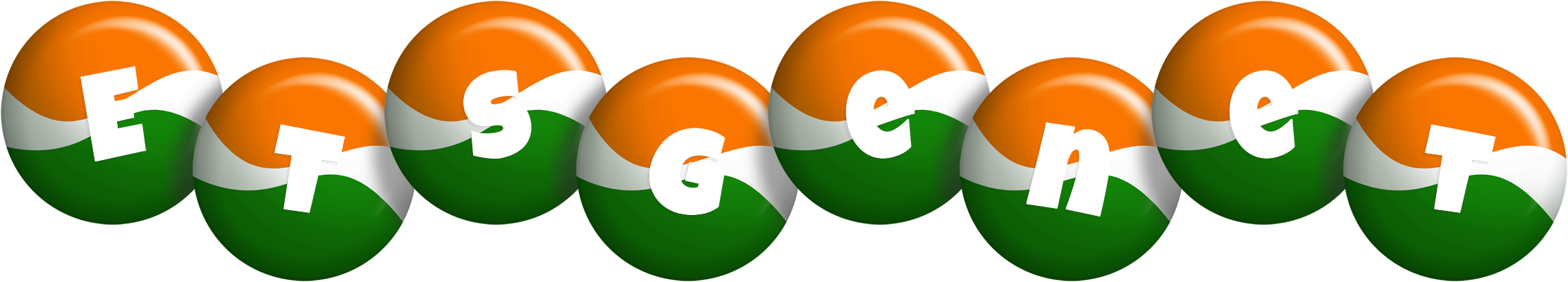 Etsgenet india logo