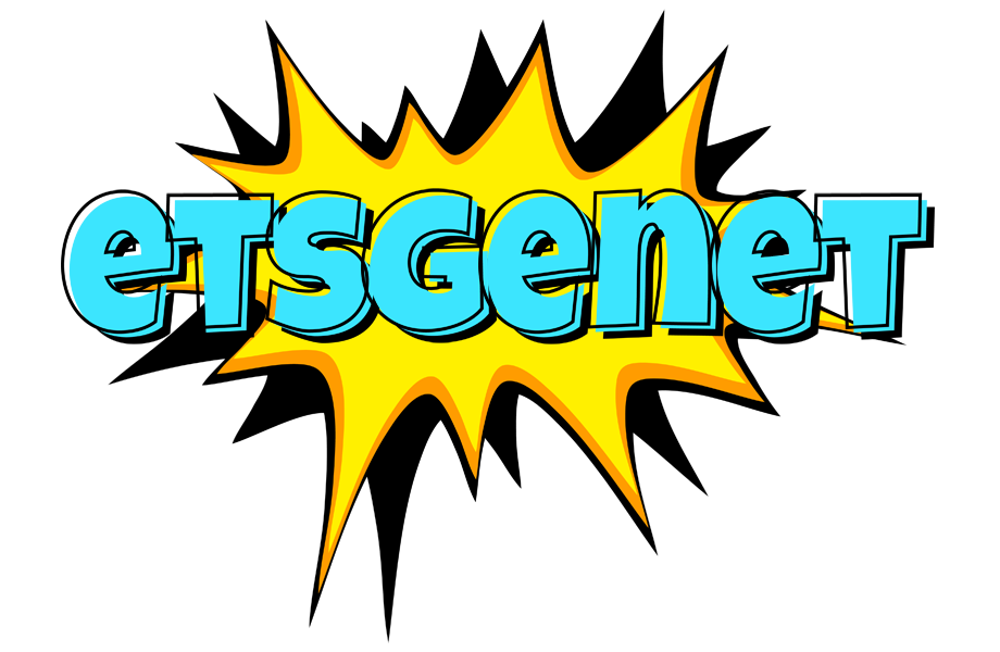 Etsgenet indycar logo