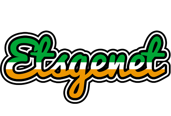 Etsgenet ireland logo