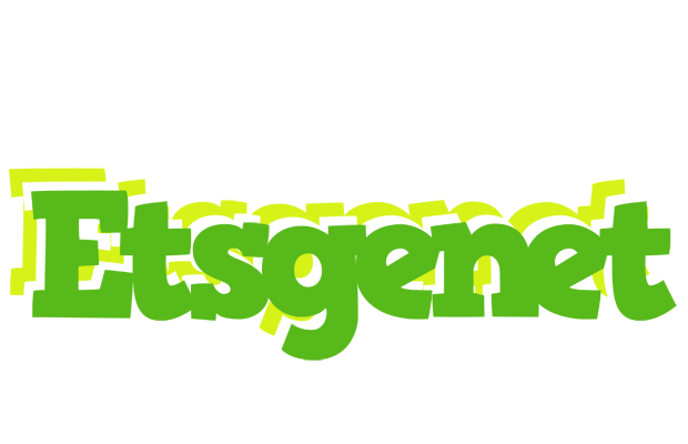 Etsgenet picnic logo