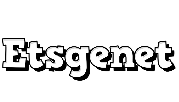 Etsgenet snowing logo