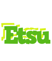 Etsu picnic logo