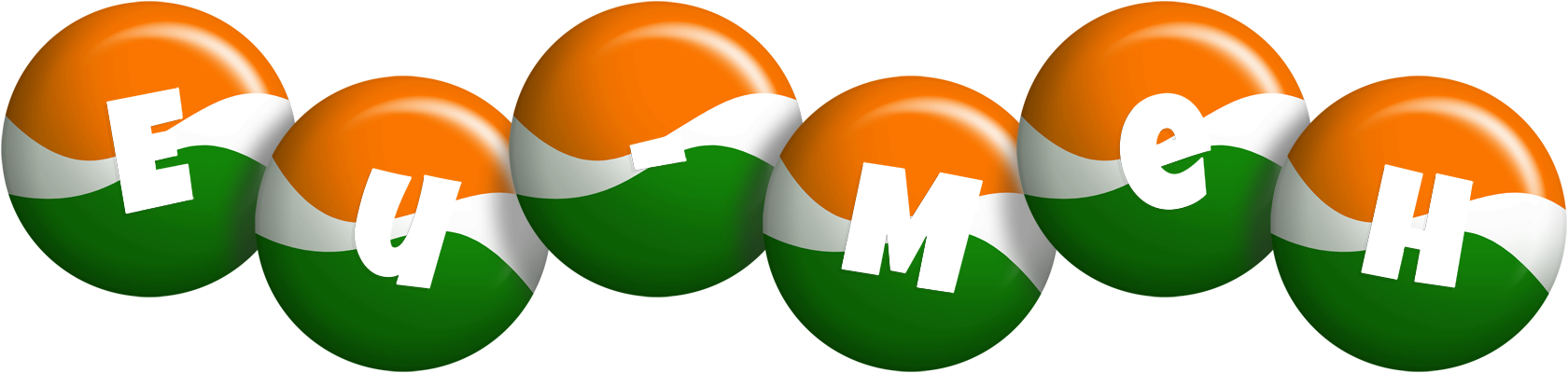 Eu-Meh india logo