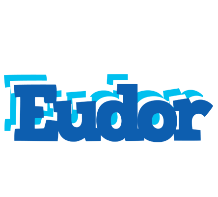 Eudor business logo