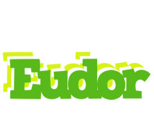 Eudor picnic logo