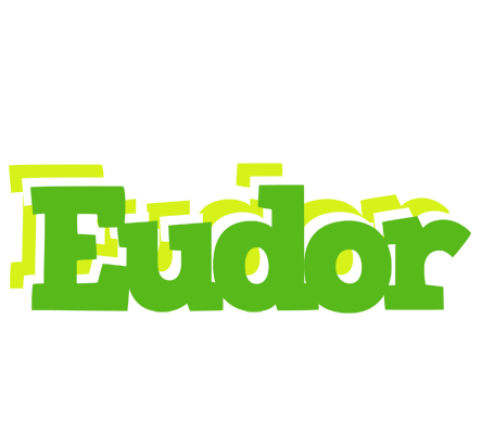 Eudor picnic logo