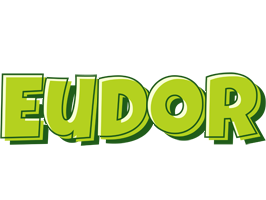 Eudor summer logo