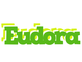 Eudora picnic logo