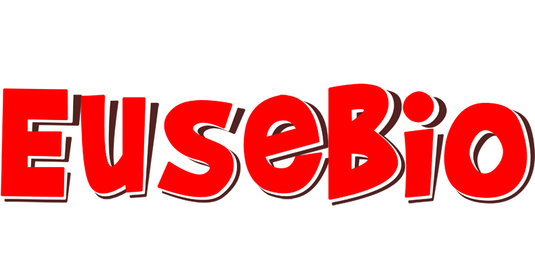 Eusebio basket logo