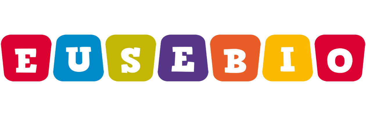 Eusebio kiddo logo
