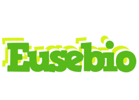 Eusebio picnic logo