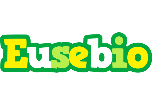 Eusebio soccer logo