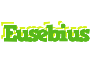 Eusebius picnic logo