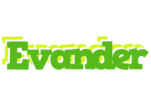 Evander picnic logo