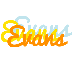 Evans energy logo