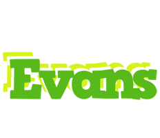 Evans picnic logo