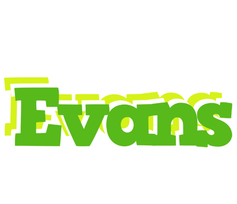 Evans picnic logo