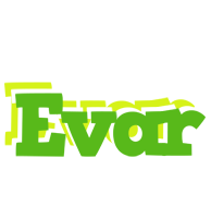 Evar picnic logo