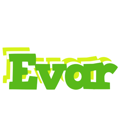 Evar picnic logo