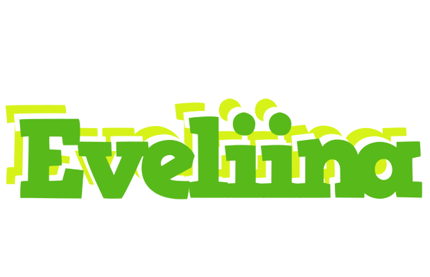 Eveliina picnic logo