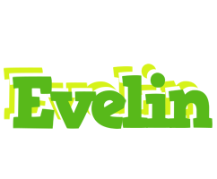 Evelin picnic logo