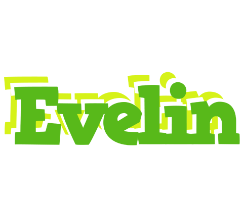 Evelin picnic logo