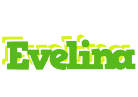 Evelina picnic logo