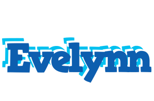 Evelynn business logo