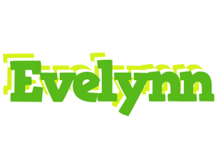 Evelynn picnic logo