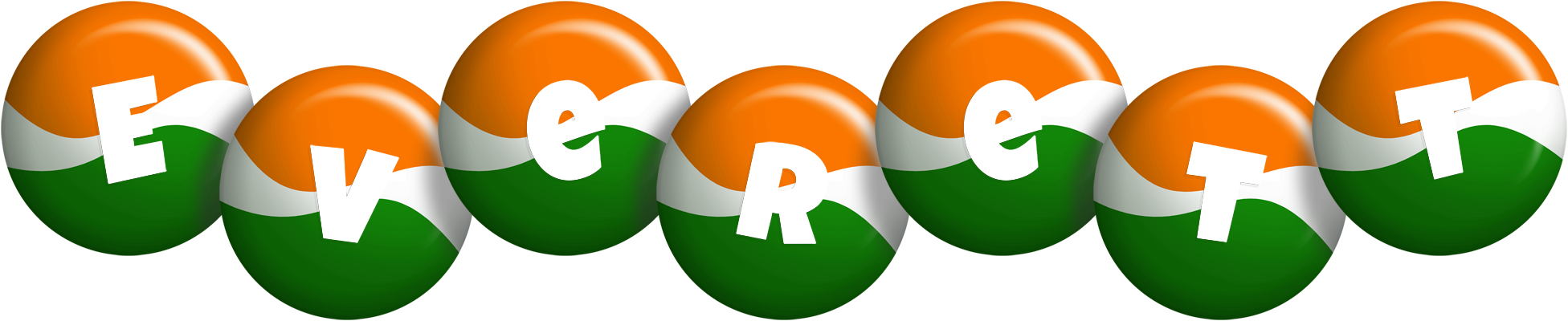 Everett india logo
