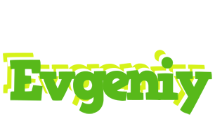 Evgeniy picnic logo