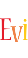 Evi birthday logo
