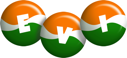 Evi india logo