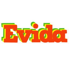 Evida bbq logo