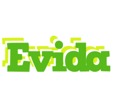 Evida picnic logo