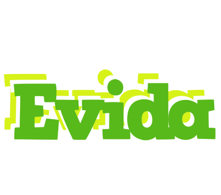 Evida picnic logo