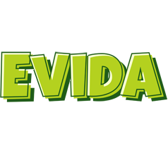 Evida summer logo