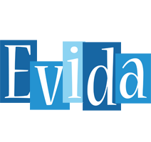 Evida winter logo