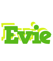 Evie picnic logo