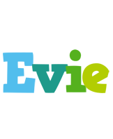 Evie rainbows logo