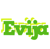 Evija picnic logo