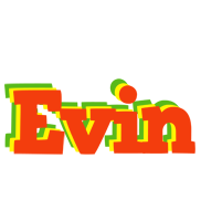 Evin bbq logo