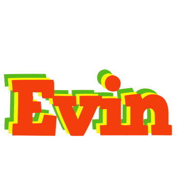Evin bbq logo