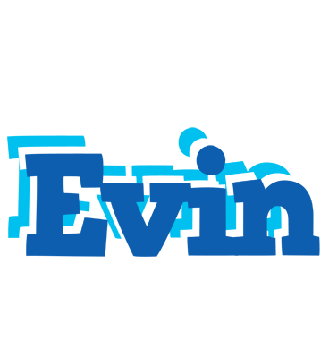 Evin business logo