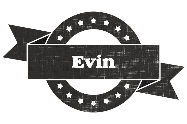 Evin grunge logo