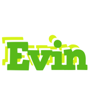 Evin picnic logo