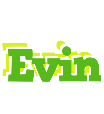 Evin picnic logo
